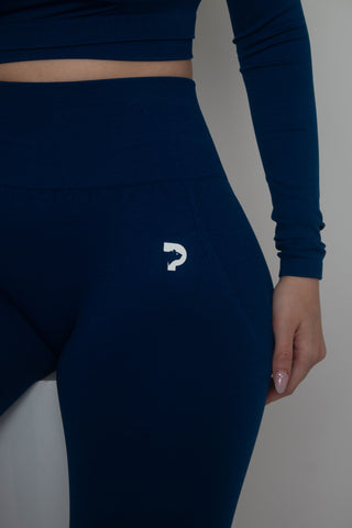 Ice 1.0 Leggings