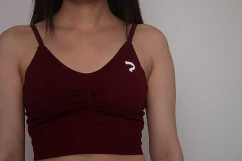 Ice 1.0 Sports Bra